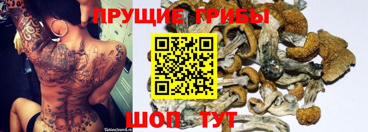 закладка  Галлюциногенные грибы Psilocybine cubensis  Вход с VPN  Всеволожск  Галлюциногенные грибы ЛСД 